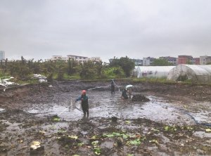 大洼河道鱼塘清淤
